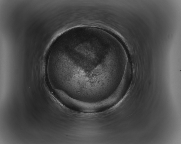 X0000086881506200704161209
