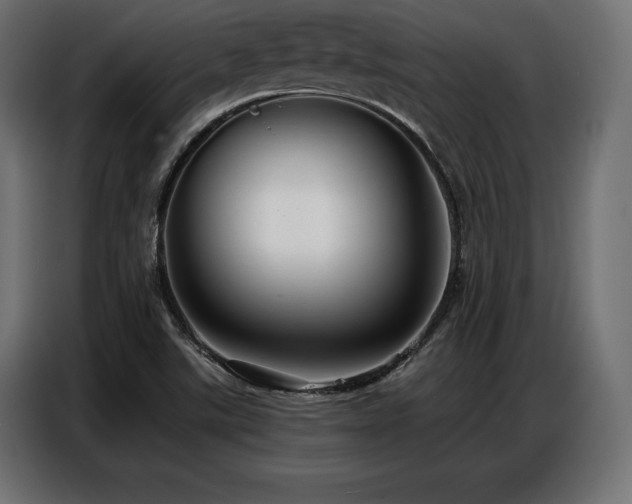 X0000086881507200704161209