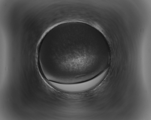 X0000086881508200704161209