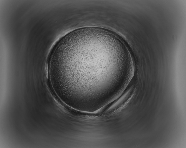 X0000086881509200704161209