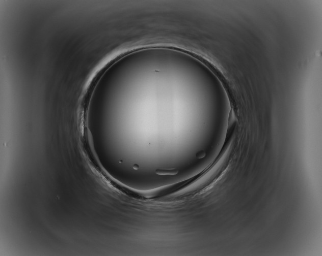 X0000086881510200704161209