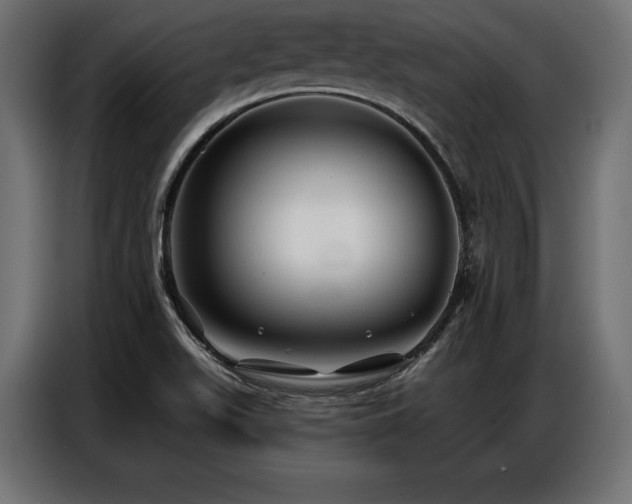 X0000086881511200704161209