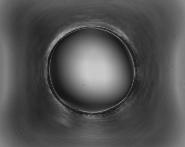 X0000086881512200704161209