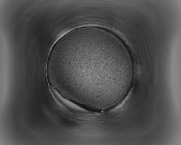 X0000086881513200704161209