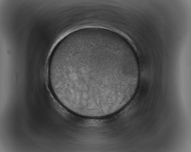 X0000086881514200704161209