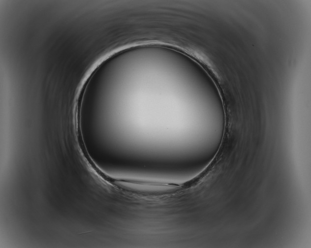 X0000086881516200704161209