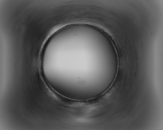 X0000086881517200704161209