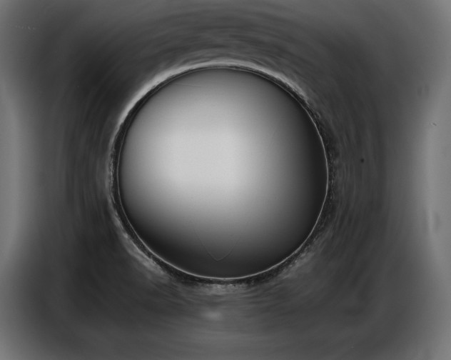 X0000086881518200704161209