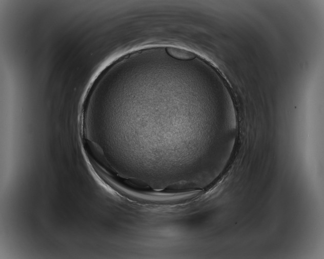 X0000086881519200704161209