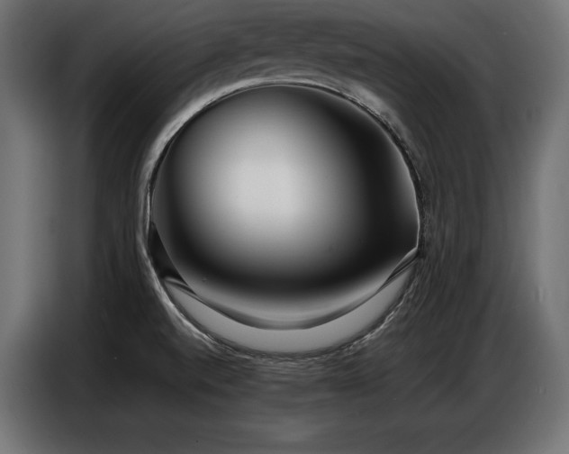 X0000086881520200704161209