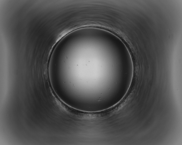 X0000086881521200704161209