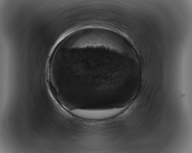 X0000086881522200704161209