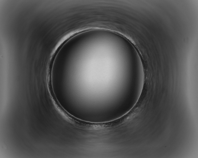 X0000086881523200704161209