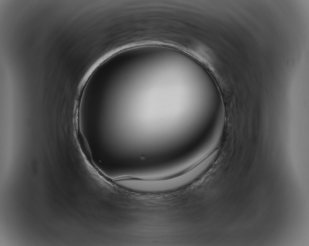 X0000086881524200704161209