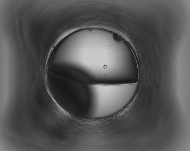 X0000086881525200704161209