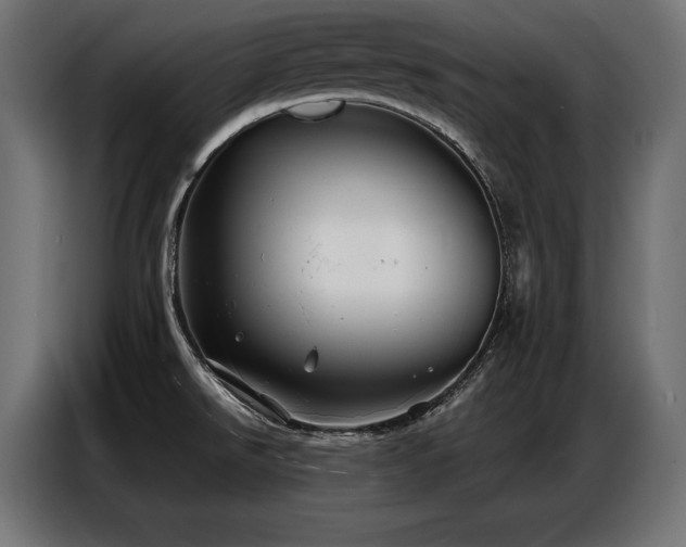 X0000086881526200704161209