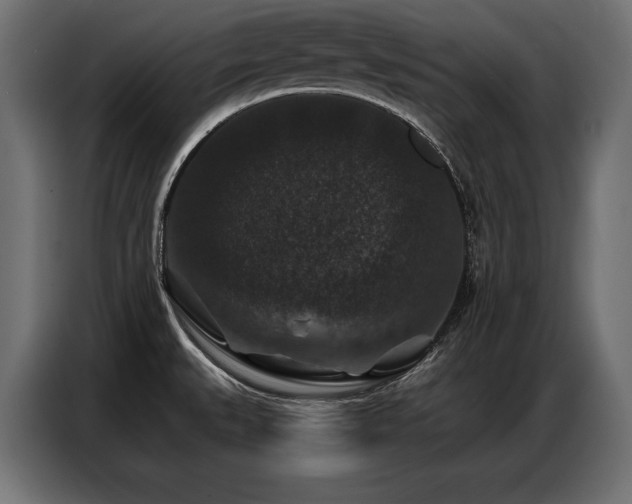 X0000086881527200704161209