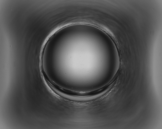 X0000086881528200704161209