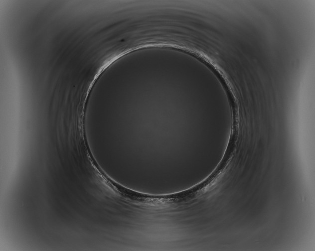 X0000086881529200704161209