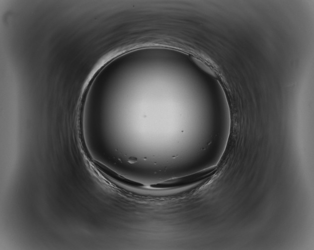 X0000086881530200704161209