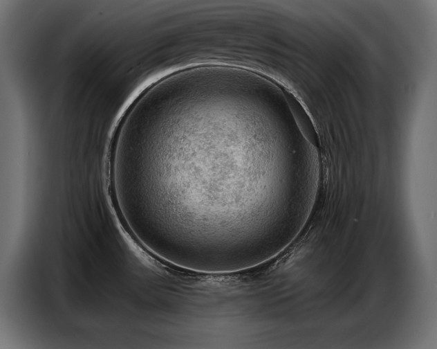 X0000086881531200704161209