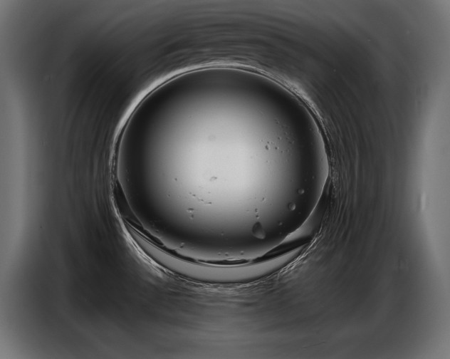 X0000086881532200704161210