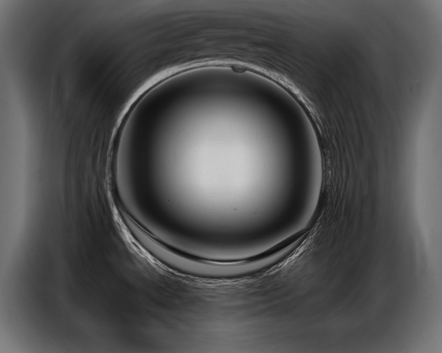 X0000086881534200704161210