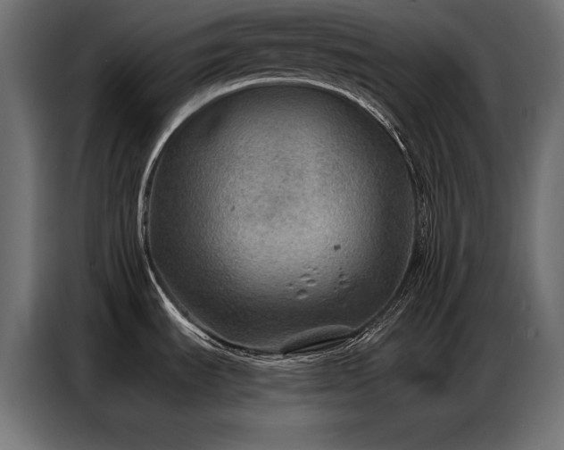 X0000086881535200704161210