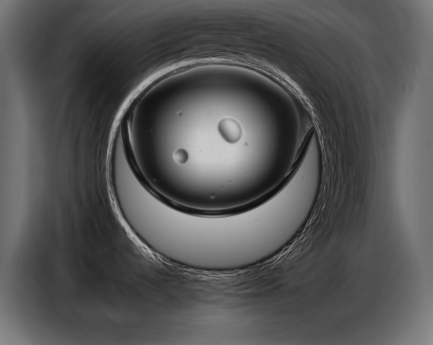 X0000086881536200704161210