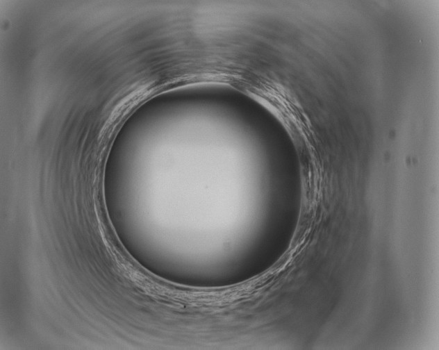 X0000086880001200704231114