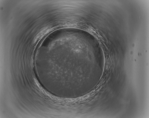 X0000086880002200704231114