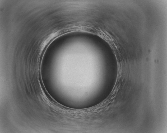 X0000086880003200704231114