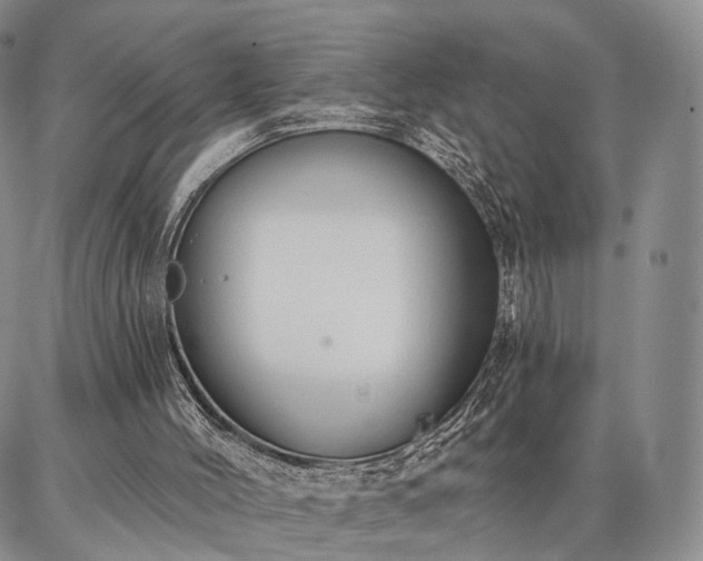 X0000086880004200704231114