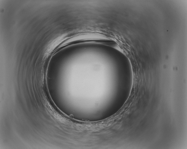 X0000086880005200704231114