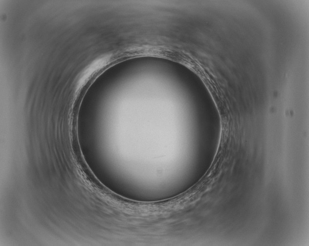 X0000086880006200704231114