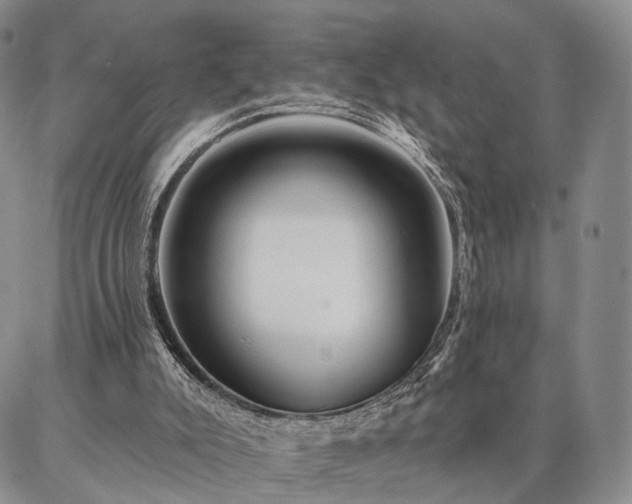 X0000086880007200704231114