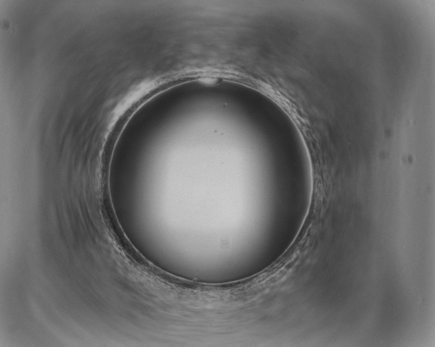 X0000086880008200704231114