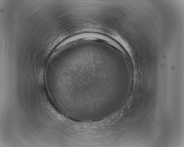 X0000086880009200704231114