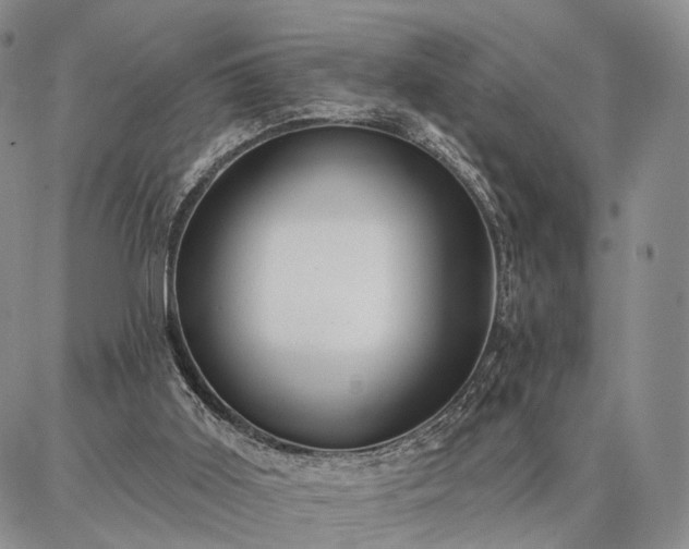 X0000086880011200704231114