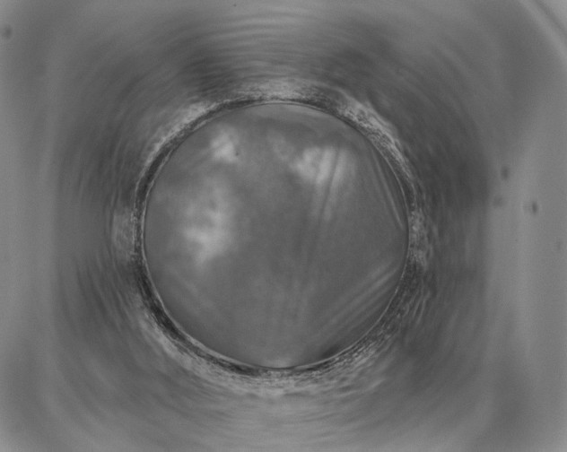 X0000086880012200704231114