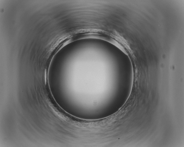 X0000086880013200704231114