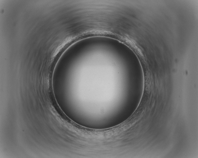 X0000086880015200704231114