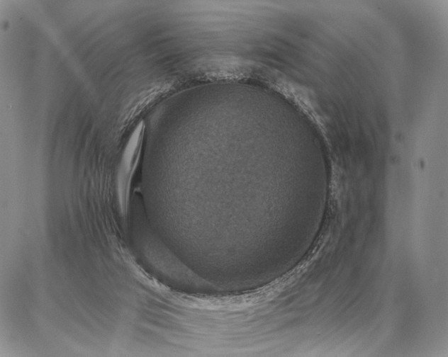 X0000086880017200704231114