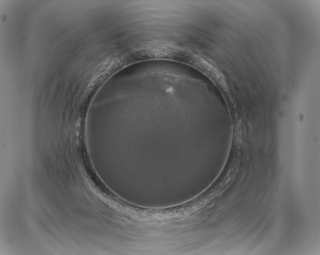 X0000086880018200704231114