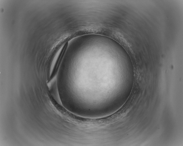 X0000086880020200704231114