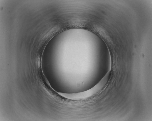 X0000086880021200704231114