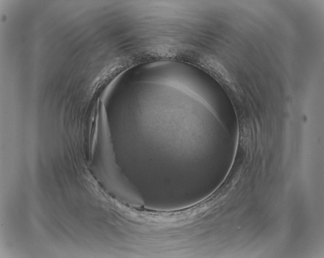 X0000086880023200704231114