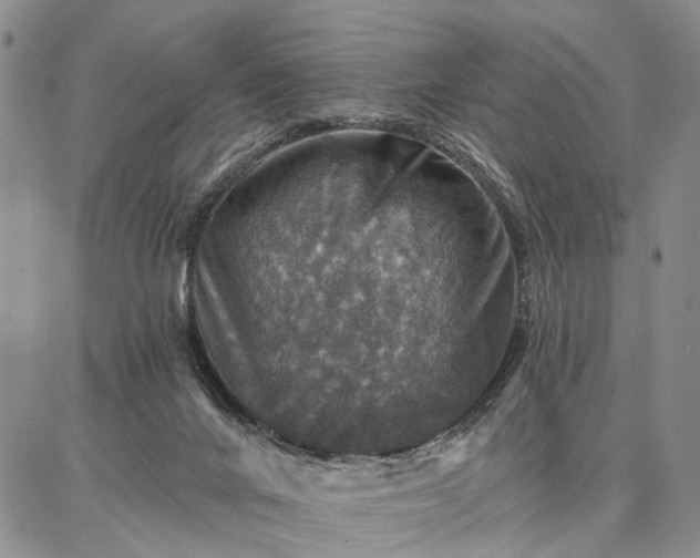 X0000086880024200704231114