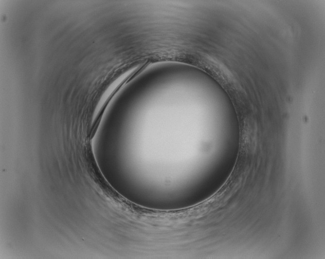 X0000086880025200704231114