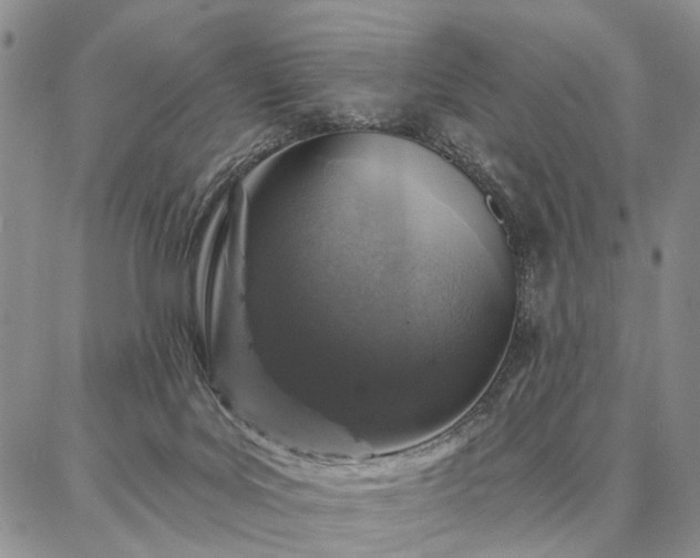 X0000086880027200704231114